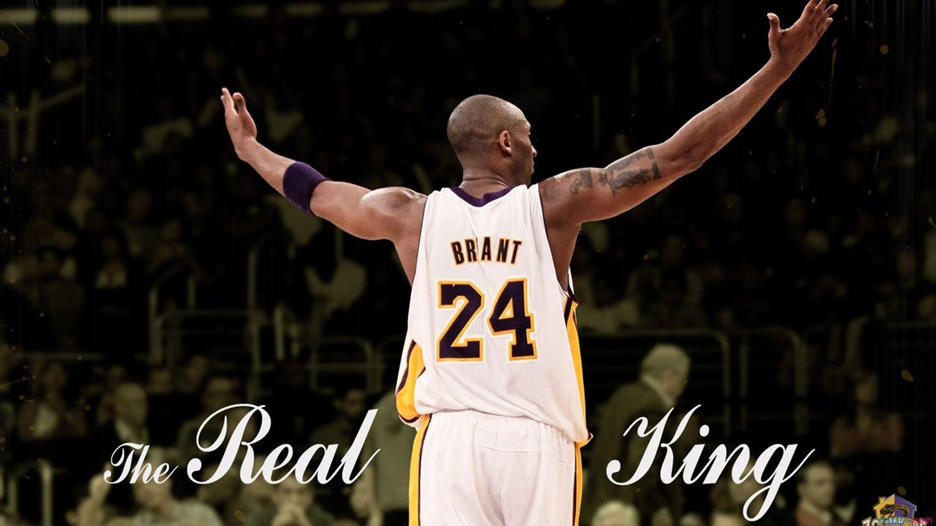 约基奇统治攻防两端，骑士铁骑强行终结掘金不败神话